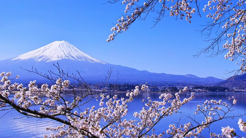 Mt.Fuji and Lake Kawaguchiko