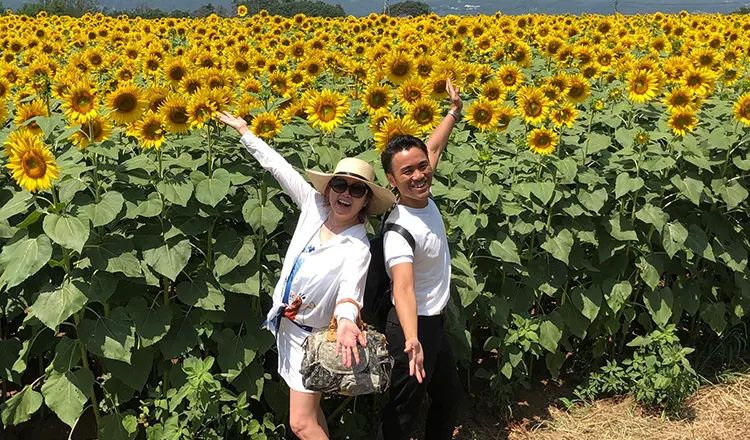Visit sunflower park
