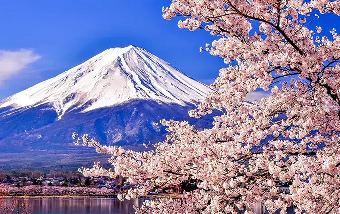Mt. Fuji Cherry Blossom Full Day Tour