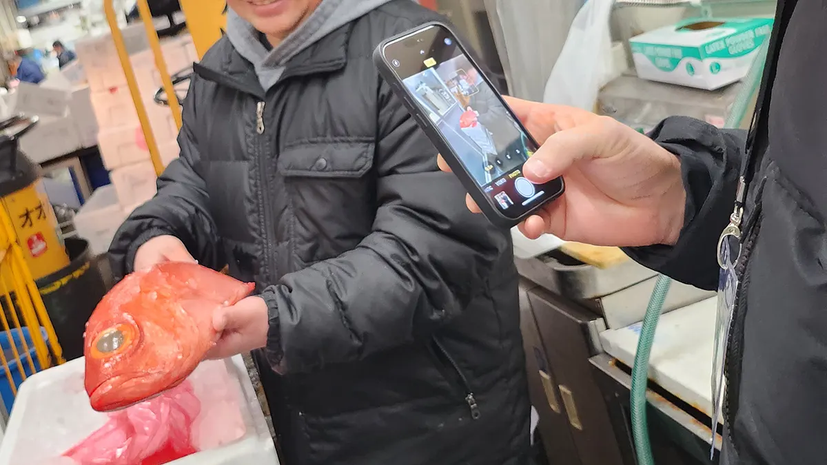 Capturing video memories of the unique atmosphere at Toyosu Fish Market
