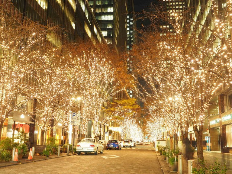 Tokyo Christmas illumination