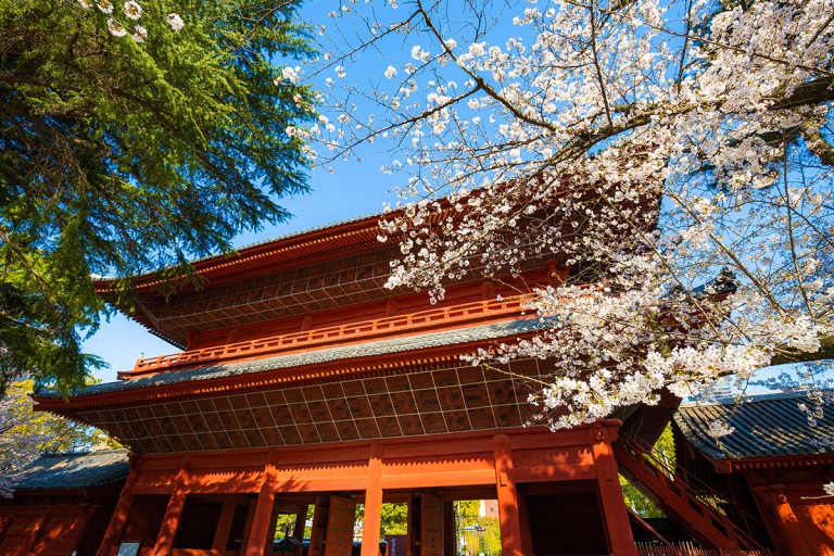 Zojo-ji Temple: Zojo-ji Temple