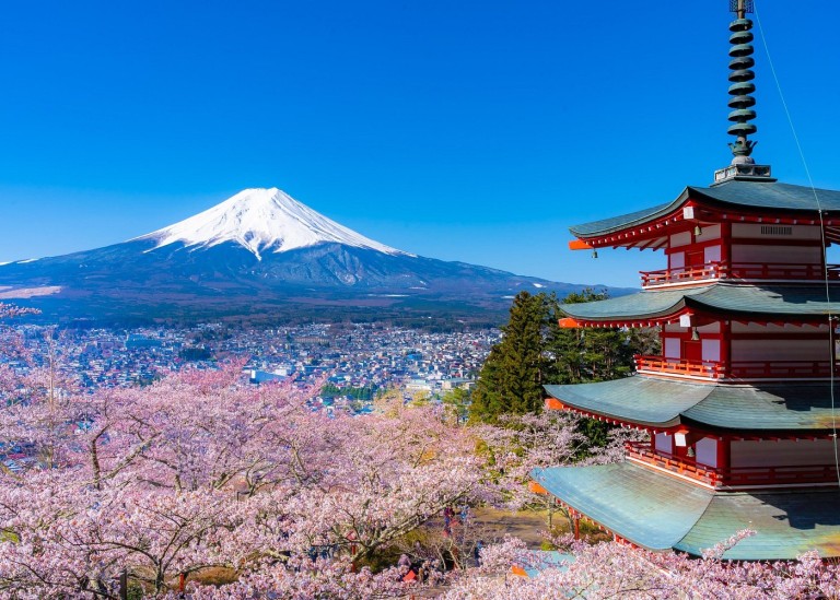 Mt. Fuji and Sakura